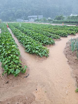 osm님의 자유주제 · 자유게시판 작성글 사진