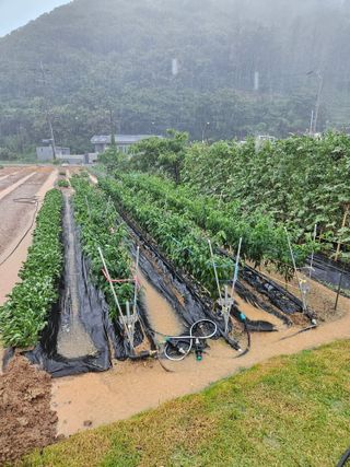 osm님의 자유주제 · 자유게시판 작성글 사진
