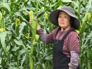 장관덕님의 자유주제 · 자유게시판 작성글 사진