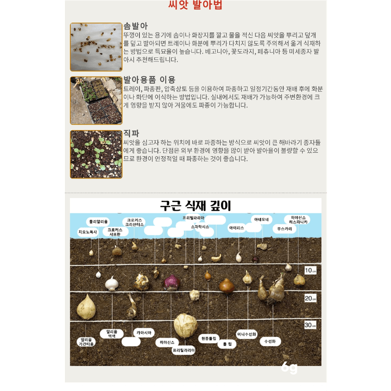 주주씨앗님의 장터 판매 상품 [[사이버가든] 레몬바질 200립 바질 씨앗 허브씨] 첨부 사진