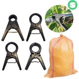 팜모닝 · 게시글 이미지