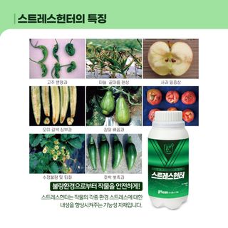 누보농장님의 자유주제 · 자유게시판 작성글 사진