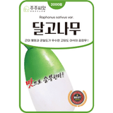 팜모닝 · 게시글 이미지