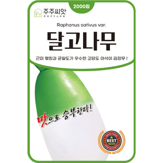 주주씨앗님의 작성글 사진