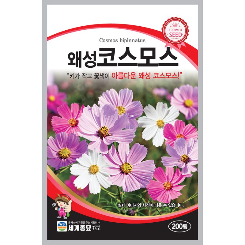 장터 상품 [[세계] 왜성코스모스 혼합 200립 / 코스모스 씨앗] 썸네일