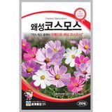 팜모닝 · 게시글 이미지