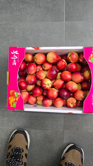 윤분술님의 자유주제 · 자유게시판 작성글 사진