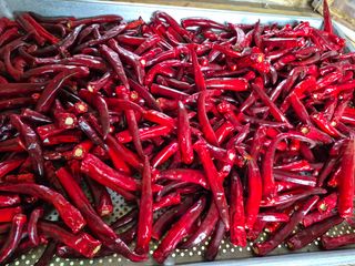 나야나님의 자유주제 · 자유게시판 작성글 사진