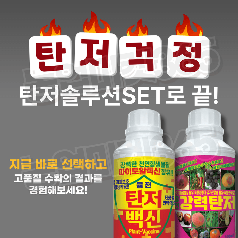 농업마켓365님의 장터 판매 상품 [농업마켓365 탄저솔루션SET 액제 500ml+500ml 식물영양제 비료 무름예방 탄저병 균박멸 작물보호] 첨부 사진