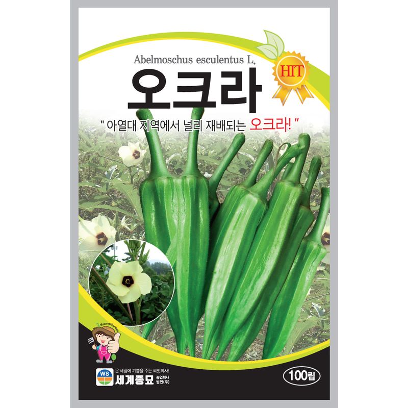 장터 상품 [[세계] 오크라 100립 오크라 씨앗] 썸네일