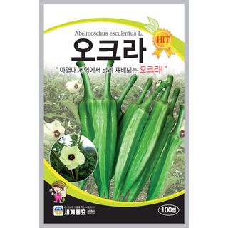 주주씨앗님의 작성글 사진