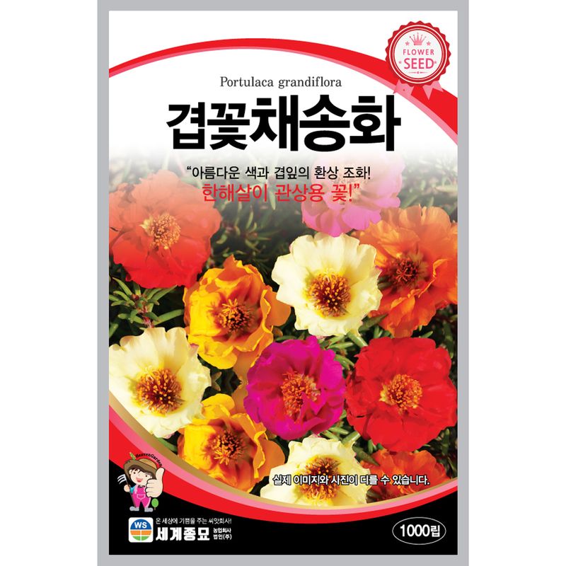 장터 상품 [[세계] 겹꽃채송화 1000립 / 겹꽃채송화 씨] 썸네일