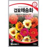 팜모닝 · 게시글 이미지