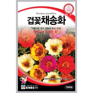 주주씨앗님의 작성글 사진