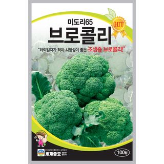 주주씨앗님의 작성글 사진