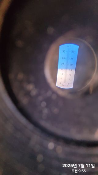 동우농장(김대욱)님의 복숭아 · 자유게시판 작성글 사진