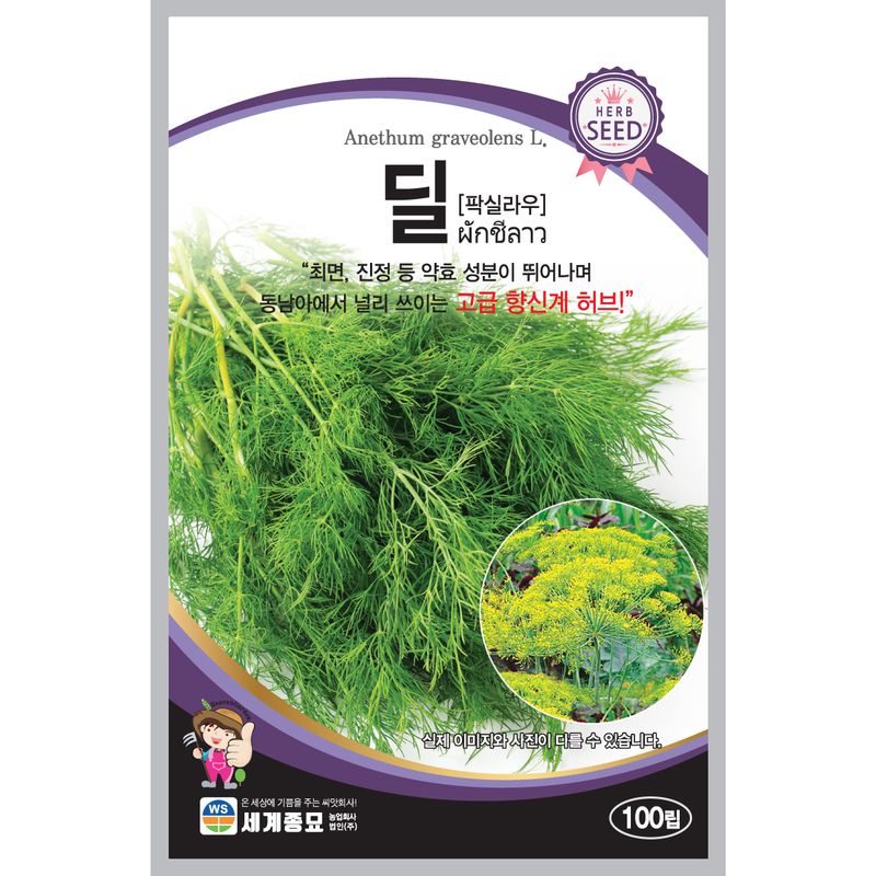 장터 상품 [[세계] 딜 100립 딜 허브 씨앗] 썸네일