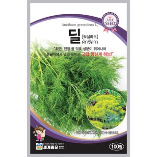 주주씨앗님의 작성글 사진