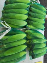 팜모닝 · 게시글 이미지