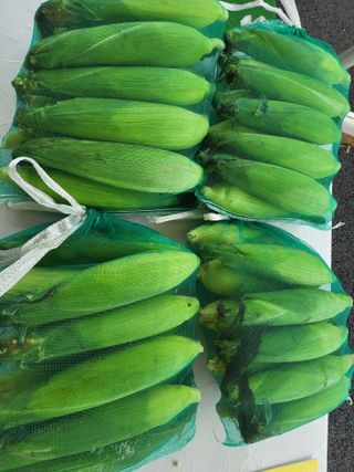 이연화님의 작성글 사진