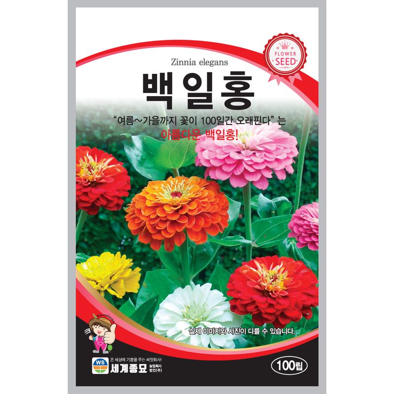 장터 상품 [[세계] 백일홍 혼합 100립 / 백일홍 씨앗] 썸네일