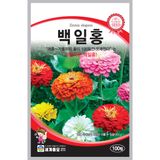 팜모닝 · 게시글 이미지