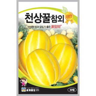 주주씨앗님의 작성글 사진