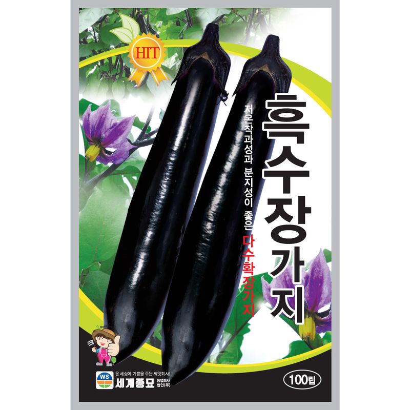장터 상품 [[세계] 흑수장가지 100립 가지 씨앗] 썸네일