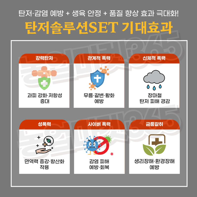 농업마켓365님의 장터 판매 상품 [농업마켓365 탄저솔루션SET 액제 500ml+500ml 식물영양제 비료 무름예방 탄저병 균박멸 작물보호] 첨부 사진