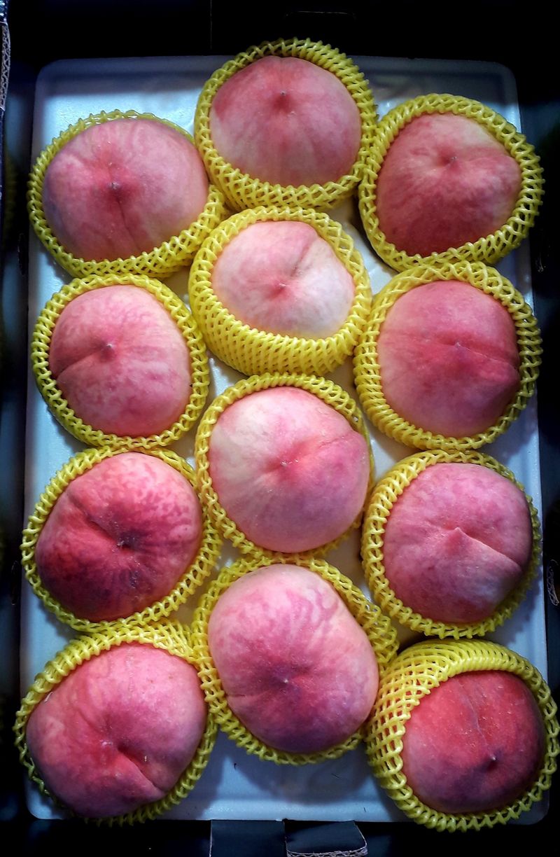 이슬농부농산님의 장터 판매 상품 [[히트상품]복숭아[황도/백도]당도짱4kg] 첨부 사진