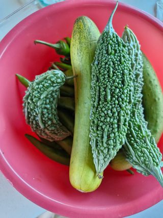 김 농부님의 자유주제 · 자유게시판 작성글 사진