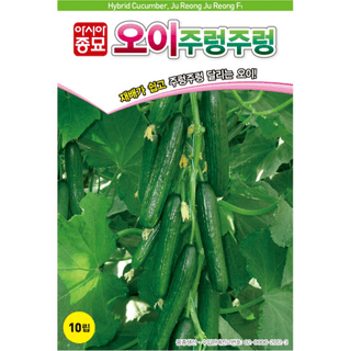 주주씨앗님의 작성글 사진