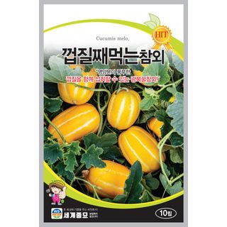 주주씨앗님의 작성글 사진