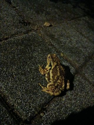 조정분(사랑이엄마)님의 자유주제 · 자유게시판 작성글 사진