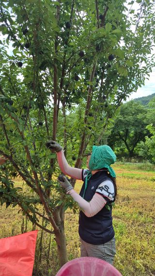정장화님의 자유주제 · 사진전 작성글 사진