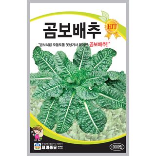 주주씨앗님의 작성글 사진