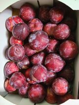 팜모닝 자유주제·자유게시판 게시글 이미지