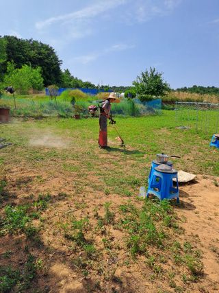 장철식님의 자유주제 · 자유게시판 작성글 사진