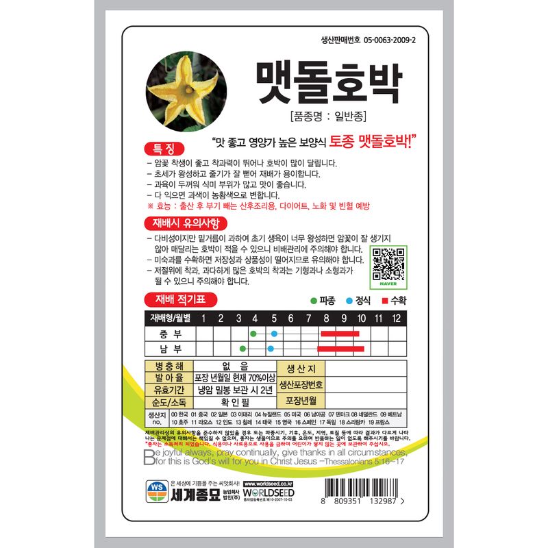 주주씨앗님의 장터 판매 상품 [[세계] 맷돌호박 30립 늙은호박 씨앗] 첨부 사진