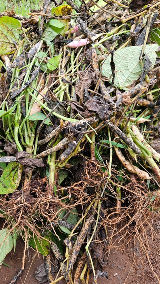 영경래8385님의 자유주제 · 자유게시판 작성글 사진