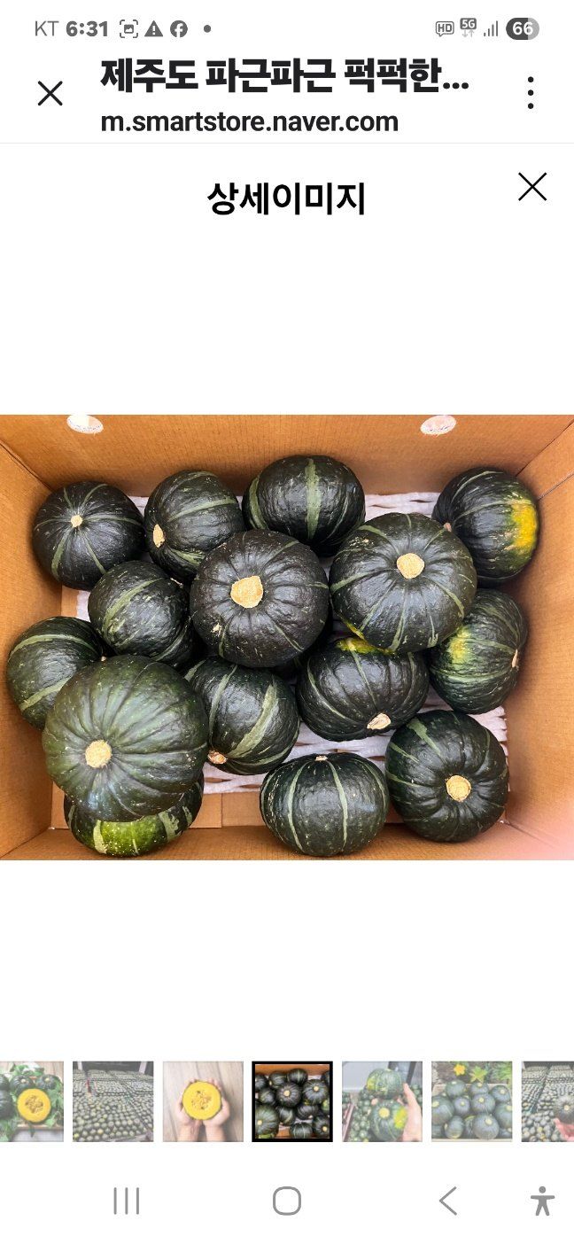 김화석님의 장터 판매 상품 [미니밤단호박(보우짱)5kg] 첨부 사진
