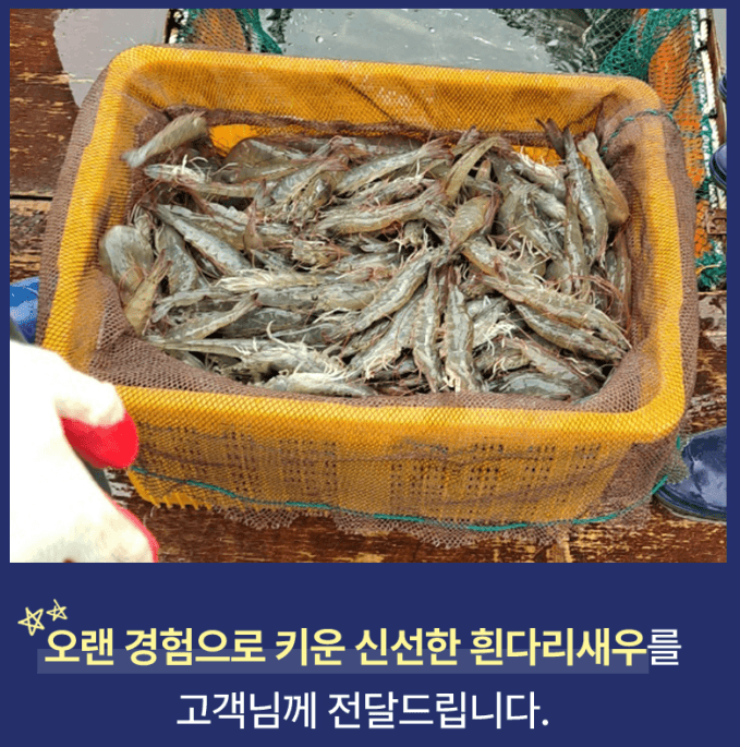 스피드번님의 장터 판매 상품 [(특가) 활 흰다리새우 ] 첨부 사진