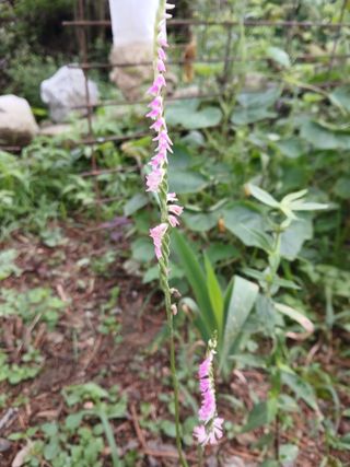 인생은 소풍처럼님의 자유주제 · 자유게시판 작성글 사진