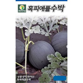주주씨앗님의 작성글 사진