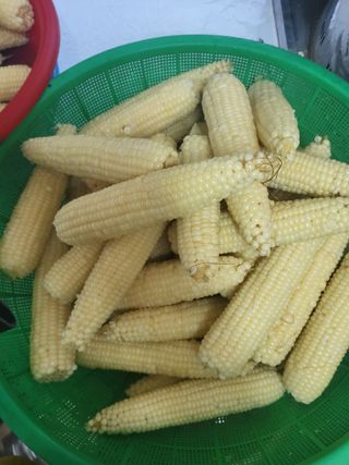 이연화님의 작성글 사진