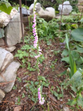 인생은 소풍처럼님의 자유주제 · 자유게시판 작성글 사진