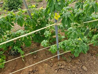 김 농부님의 자유주제 · 자유게시판 작성글 사진