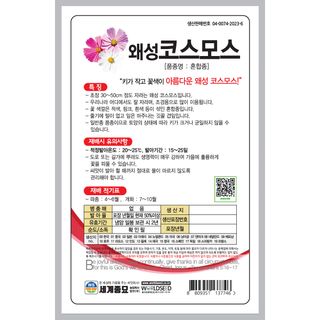 주주씨앗님의 작성글 사진