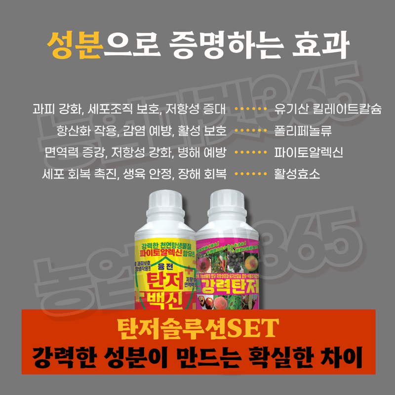 농업마켓365님의 장터 판매 상품 [농업마켓365 탄저솔루션SET 액제 500ml+500ml 식물영양제 비료 무름예방 탄저병 균박멸 작물보호] 첨부 사진