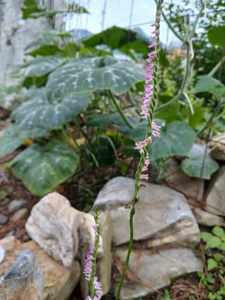 인생은 소풍처럼님의 자유주제 · 자유게시판 작성글 사진